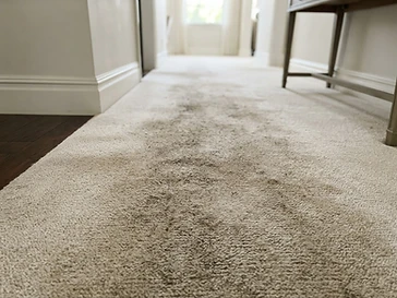 Living Room Carpet Restoration — before