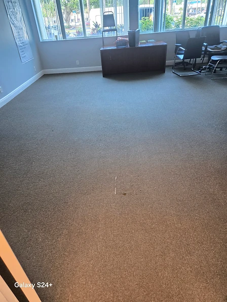 Commercial office carpet at a sobriety center in North Palm Beach showing the freshly cleaned section against surrounding carpet during a quarterly cleaning service