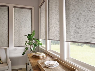 Roller shades taming the Florida glare