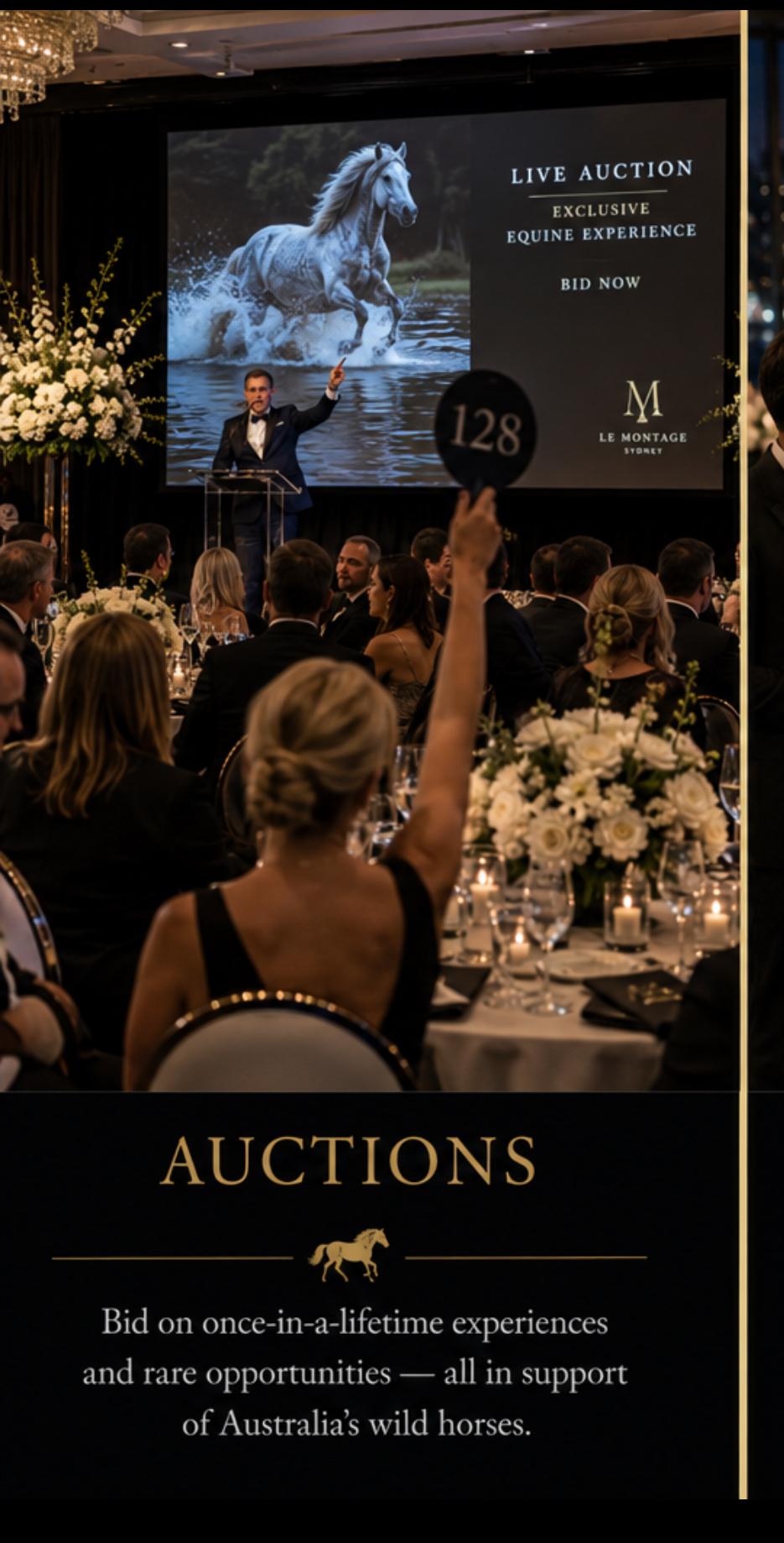 Live & Silent Auctions