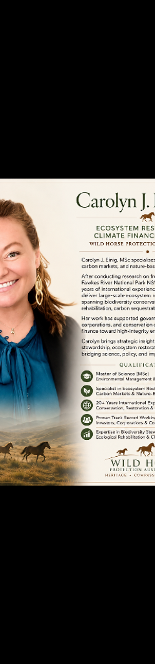 Portrait of Carolyn J. Einig, MSc