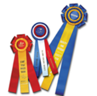CUSTOMIZED ROSETTES