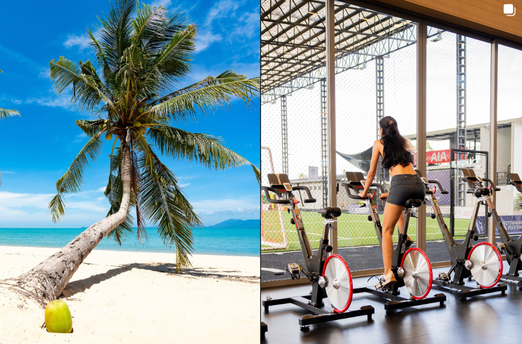 Beach palm and resort fitness studio