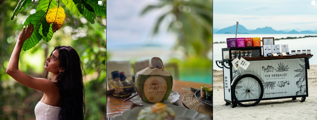 Tropical moments, branded coconut and The Herbalist dispensary cart at The Beach Samui