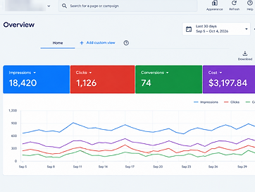 Paid Ads project screenshot