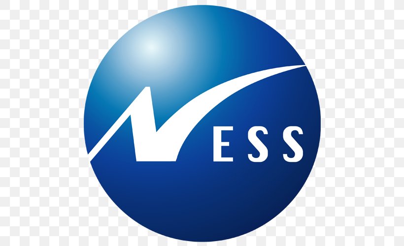 Ness Technologies company logo