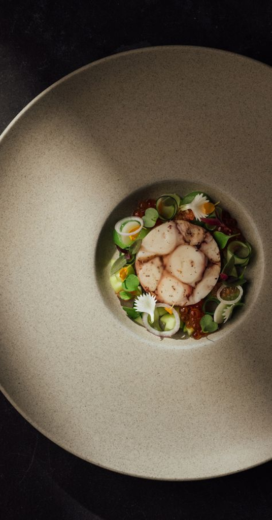 Gourmet scallop dish garnished with microgreens and roe in a speckled bowl