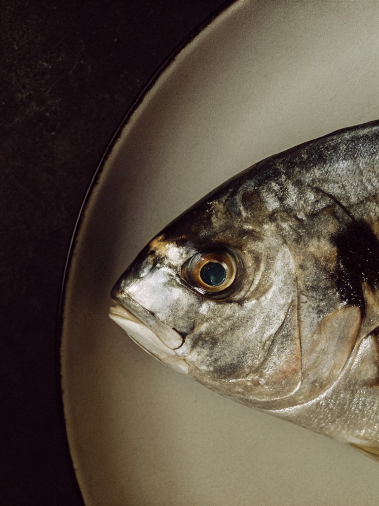 Close-up of a raw fish on a plate