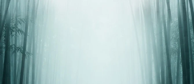 薄霧竹林