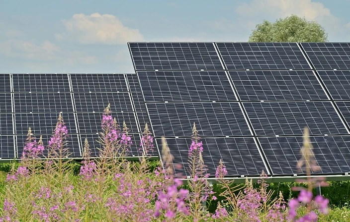 Ground-Mounted PV Plants