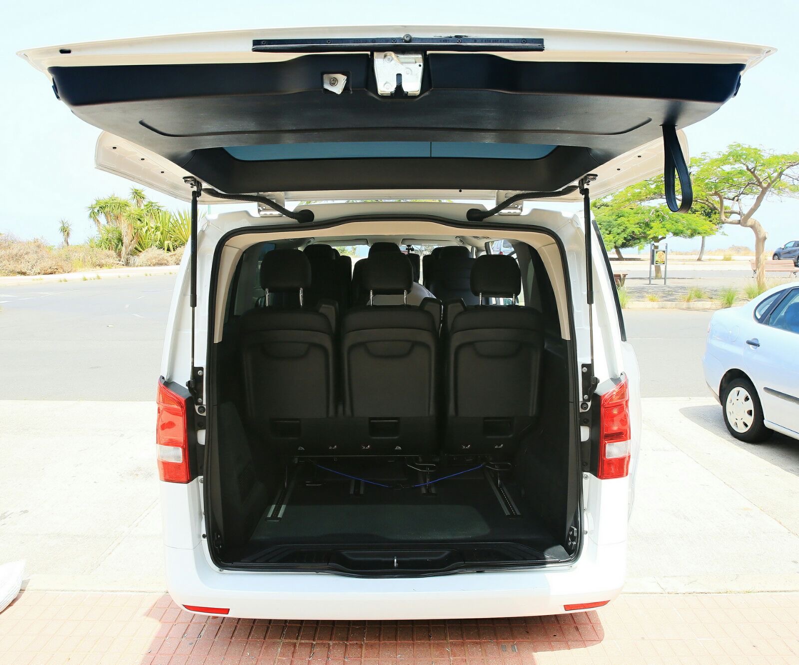 Rear trunk — cargo & luggage space
