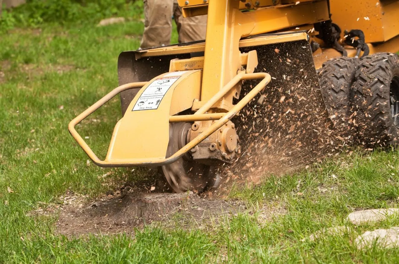 Stump Grinding