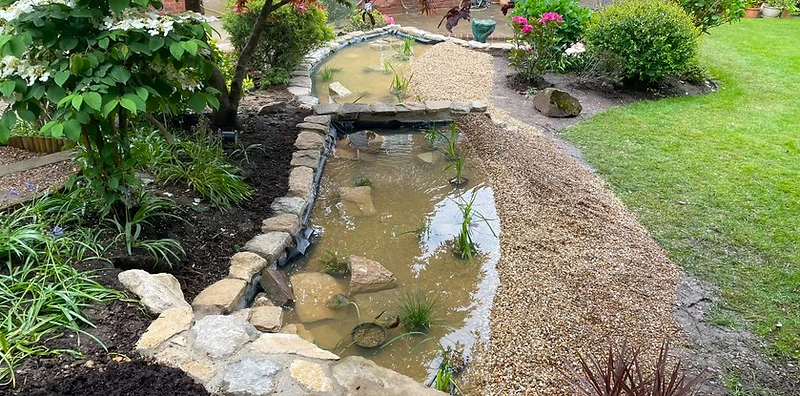 Stone-edged garden pond with aquatic planting and gravel paths in Surrey