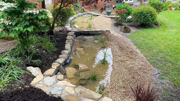 Interconnected stone-edged ponds with gravel pathways in a Surrey garden
