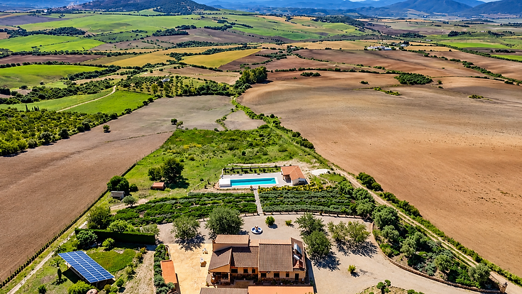 Large rural estate in Cádiz with managed Starlink and long-range Wi-Fi coverage by Alborán Connect