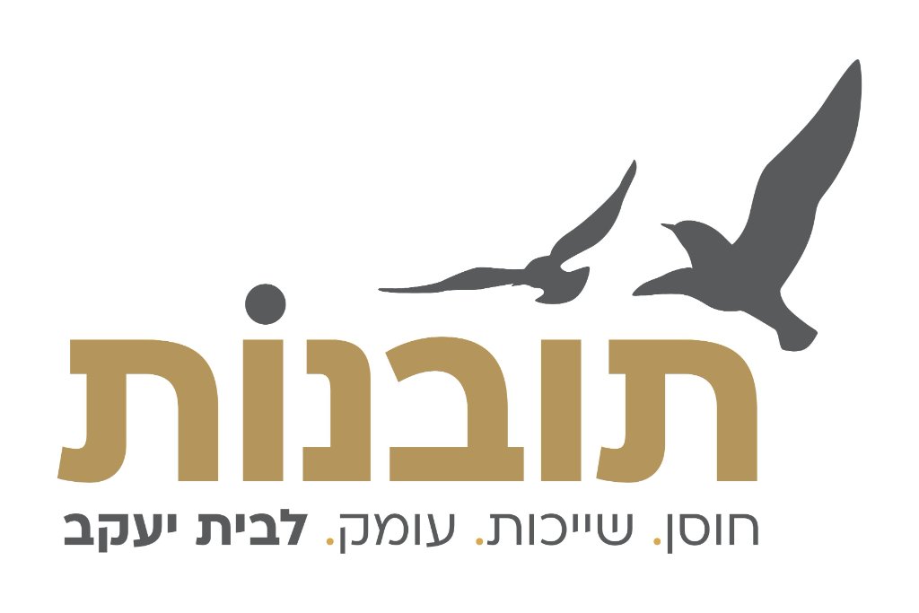 תובנות