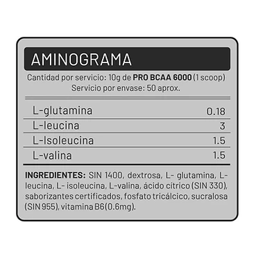 Pro Bcaa 6000 500Gr 2