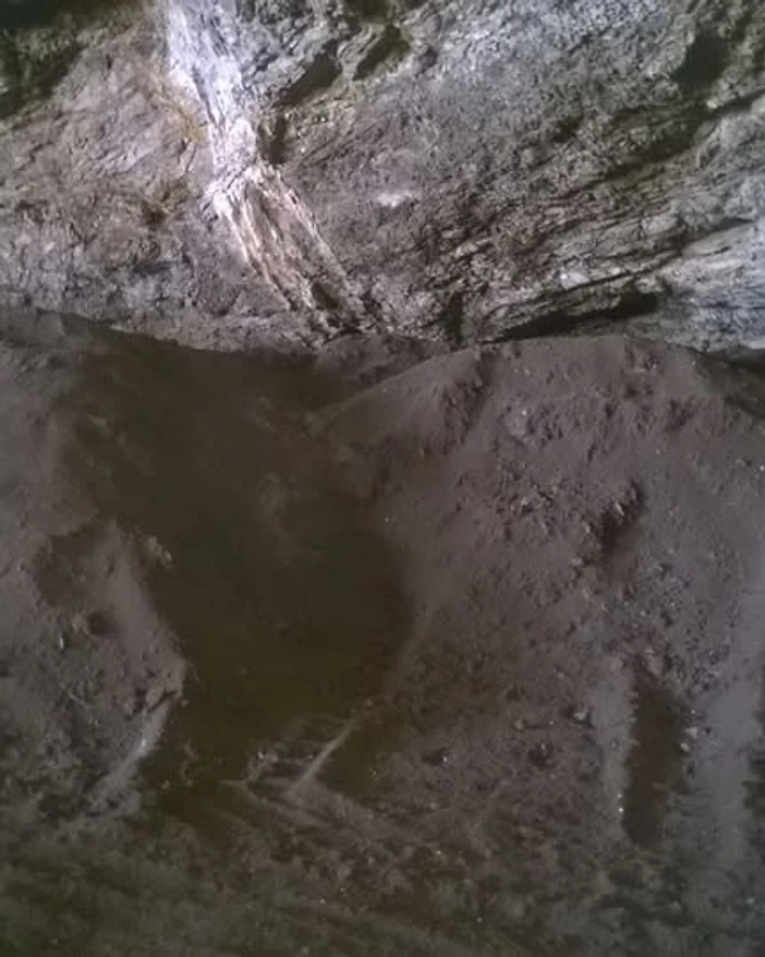 Raw bat guano mound inside a natural cavern