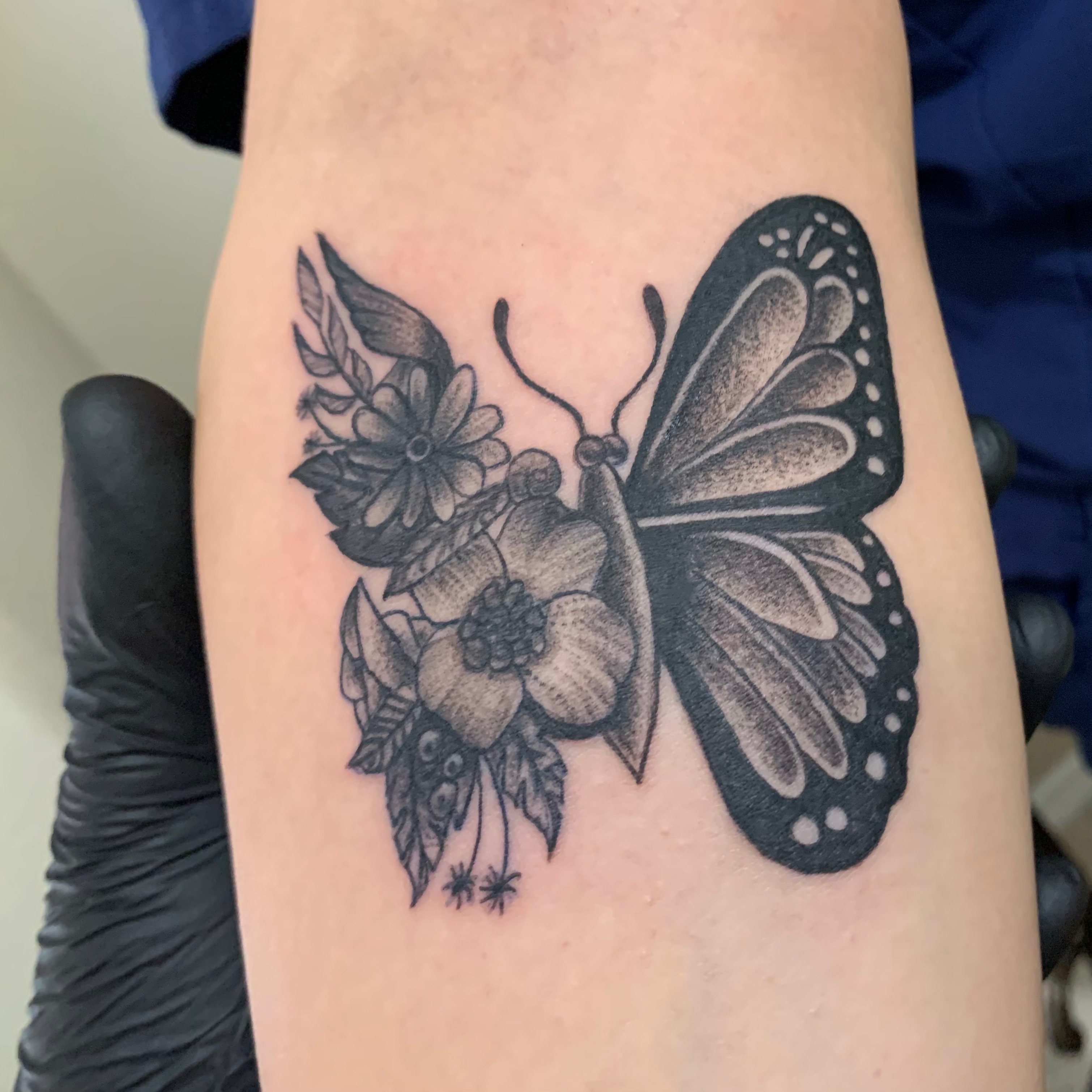 Aliana — Piece 5 — Fine Line