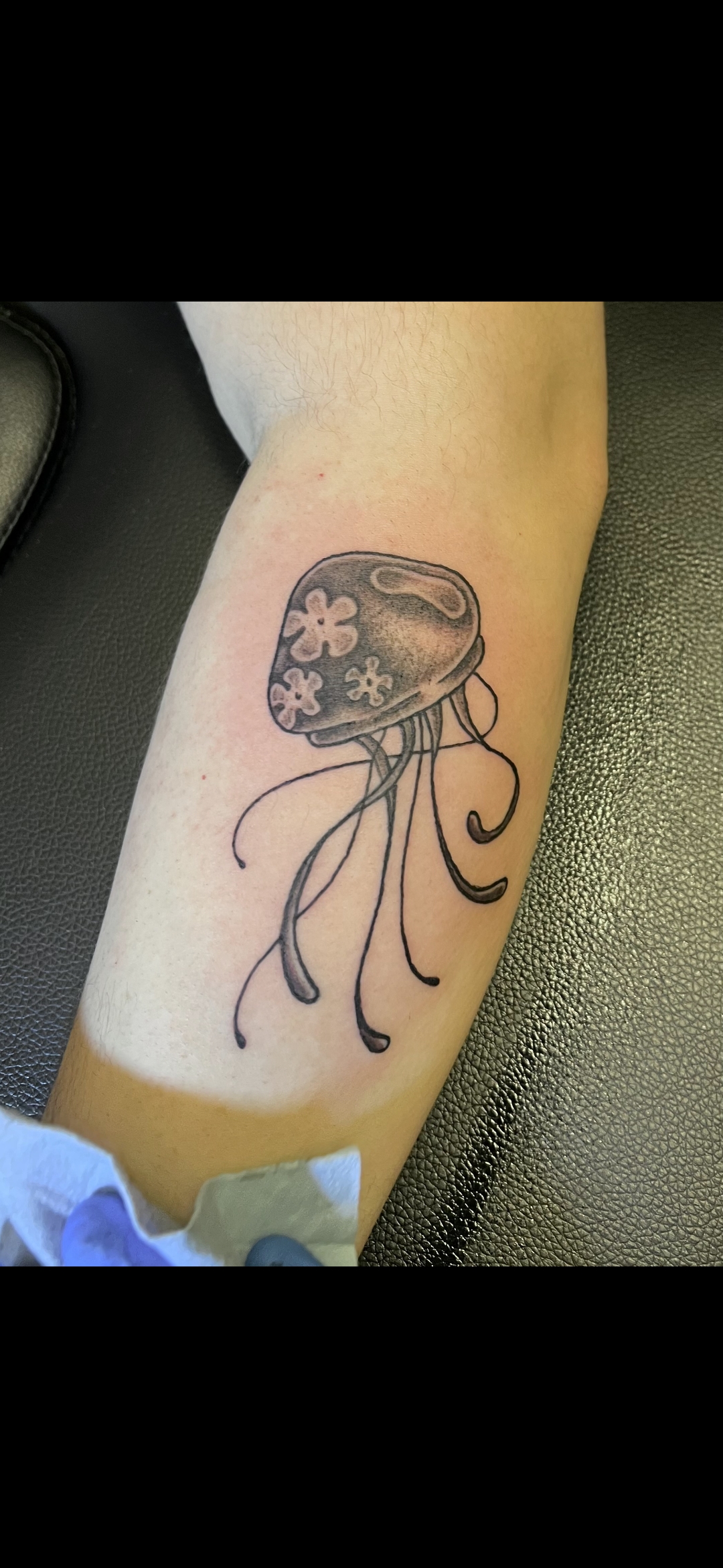 Aliana — Piece 11 — Fine Line