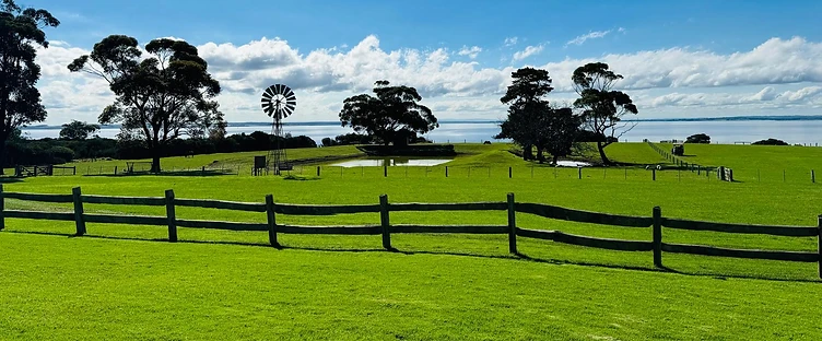 Rural Australian landscape with gum trees and windmill