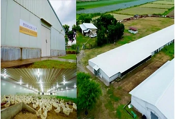 Primaduck breeding facility, duck houses and aerial view of the EDL Farms production site