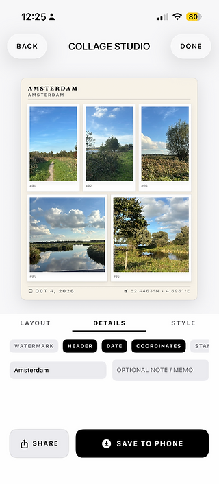 Memont Collage Studio showing an Amsterdam trip collage with layout, details and style controls