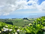 Rolling green Azores countryside with hydrangeas overlooking the ocean