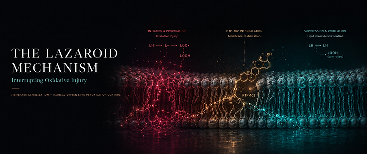 Scientific membrane illustration showing radical-driven lipid peroxidation in magenta, PTP-102 membrane intercalation in copper and a protected membrane state in cyan.