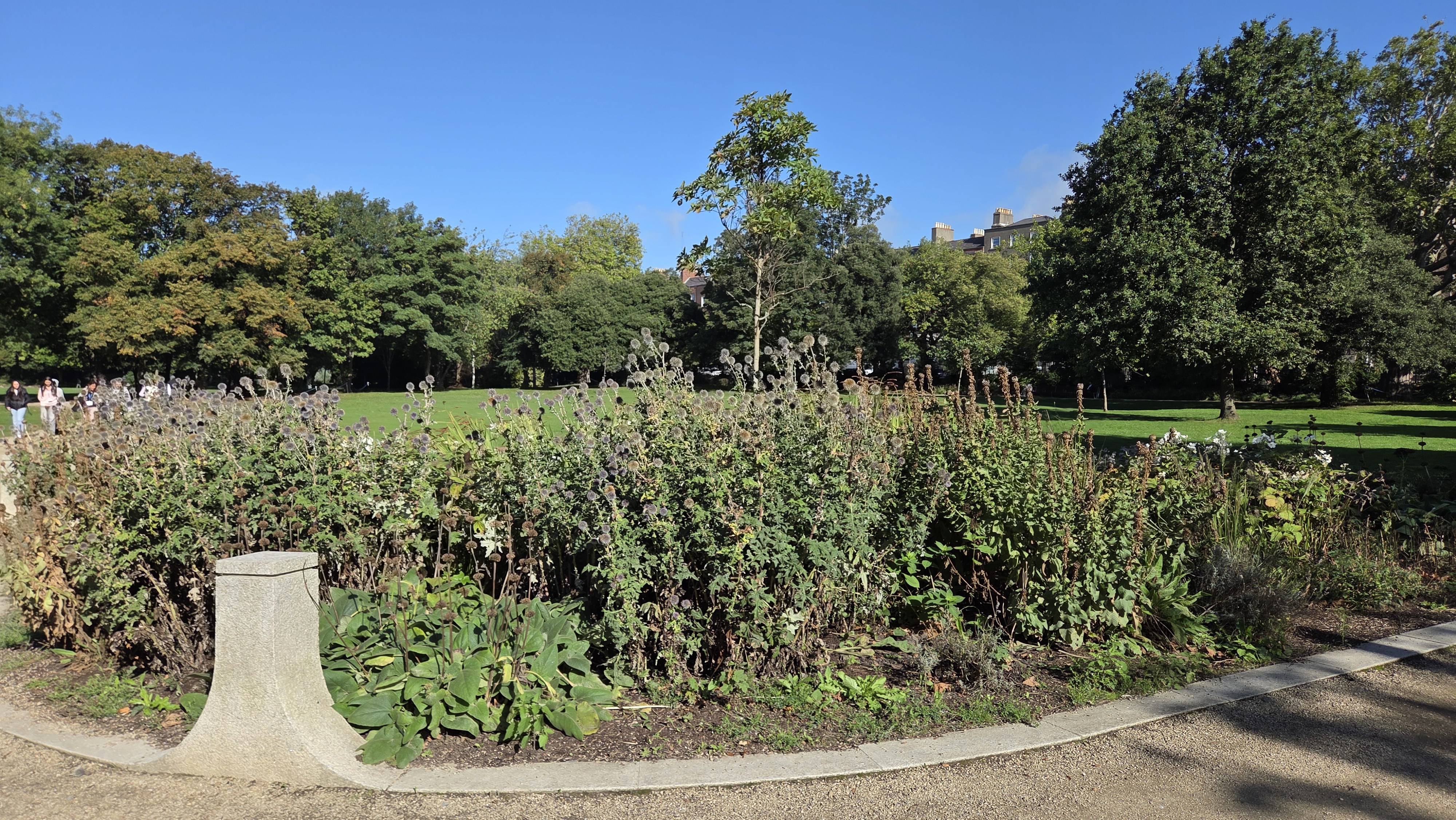 Gravel path meeting a dense garden-bed edge