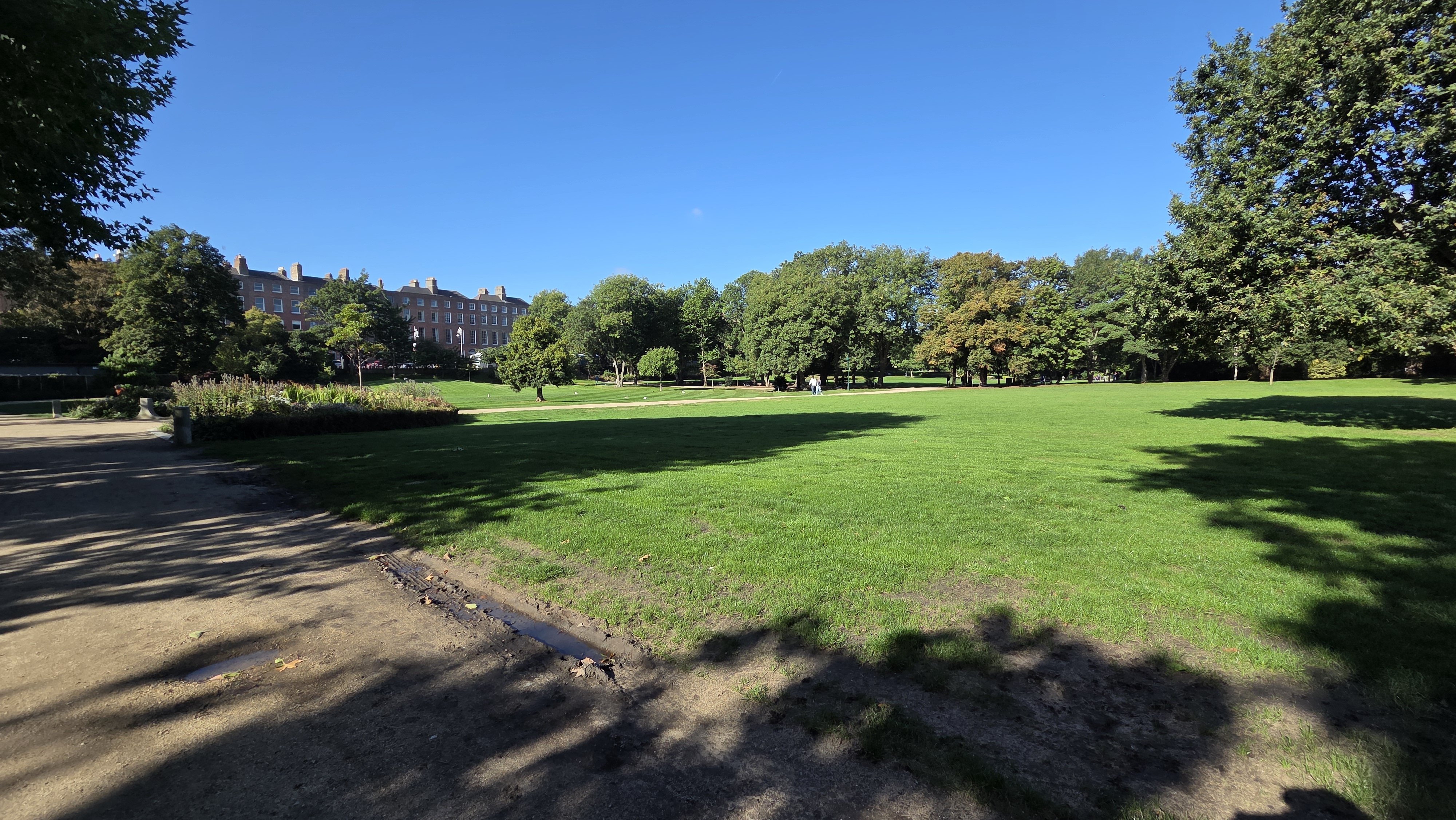 Merrion Square Rethinking detail