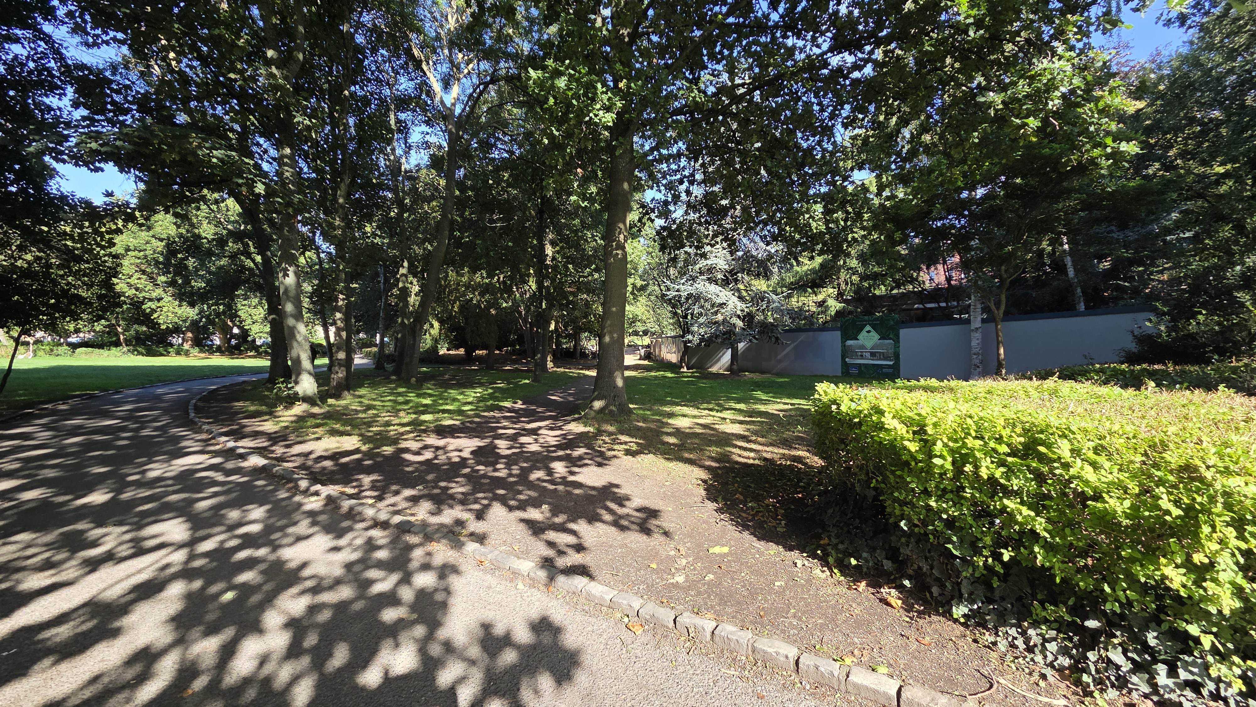Cobbled path edge beneath the tree canopy
