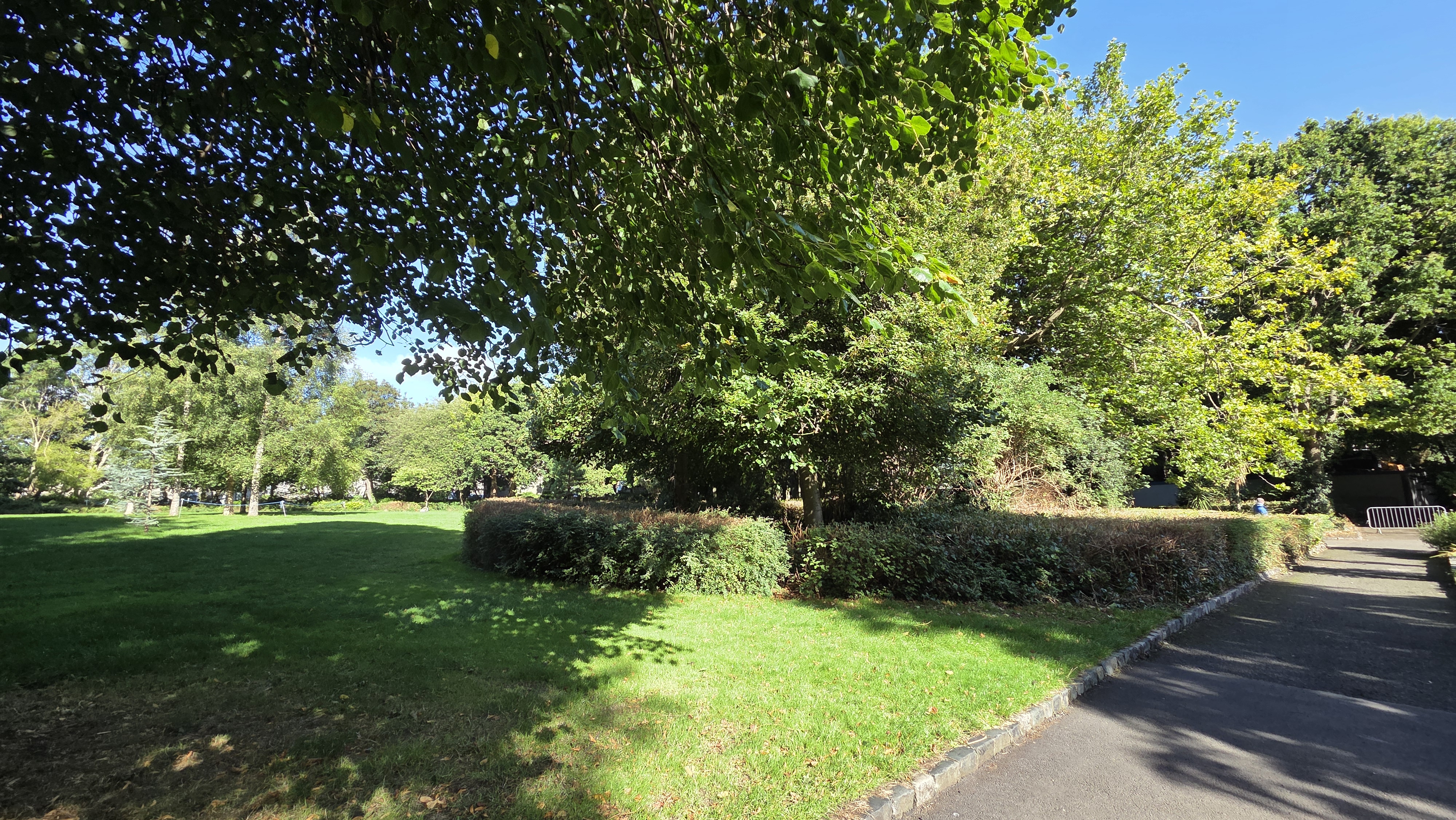 Hedge-edged pathway with dappled canopy shade