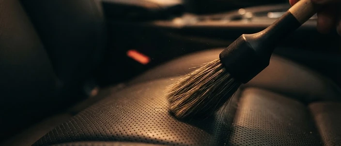 How to Get Rid of Pet Hair, Odours and Stains From Your Car Interior