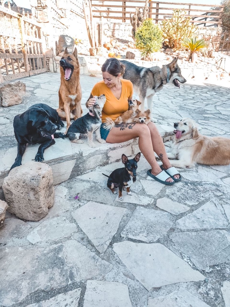 Linda mit den Hunden in Linda's Doggy Daycare