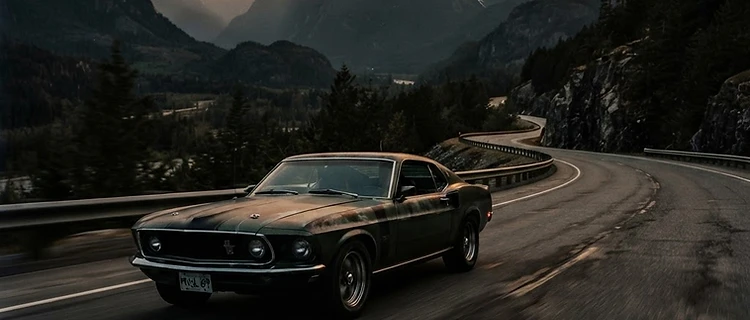 Fraser Valley Cruise Night