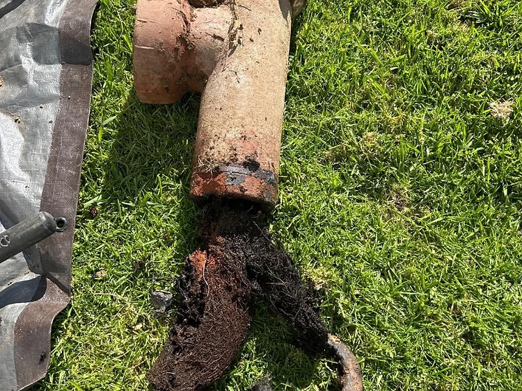 Root Intrusion Extraction