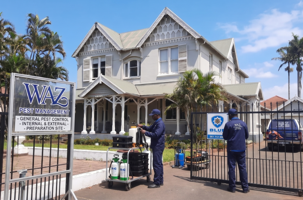 Why Businesses Need Regular Pest Control
