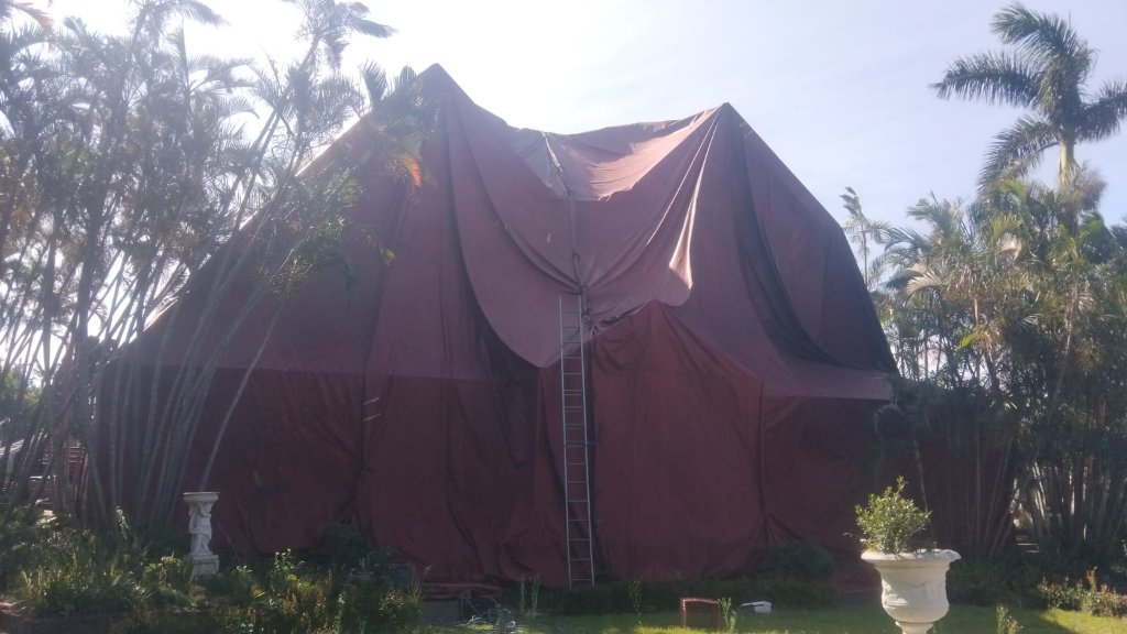 Benefits of Professional Fumigation