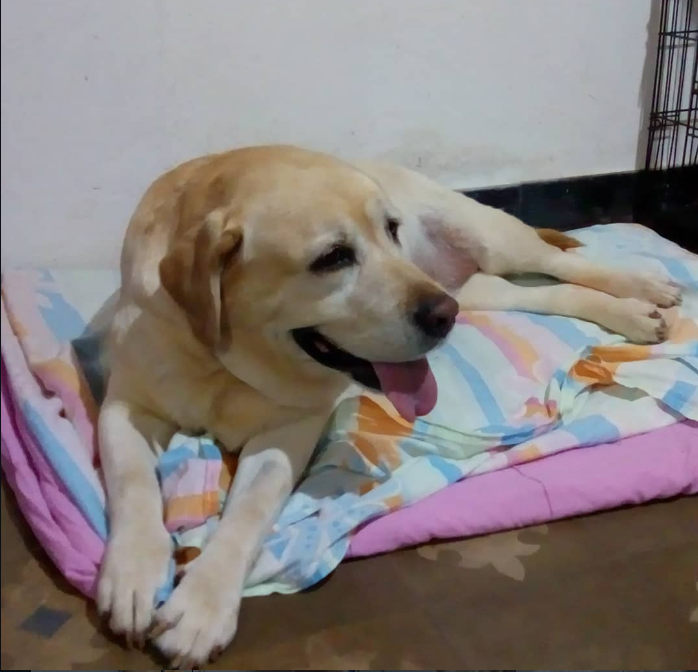 Captura 15:39:06