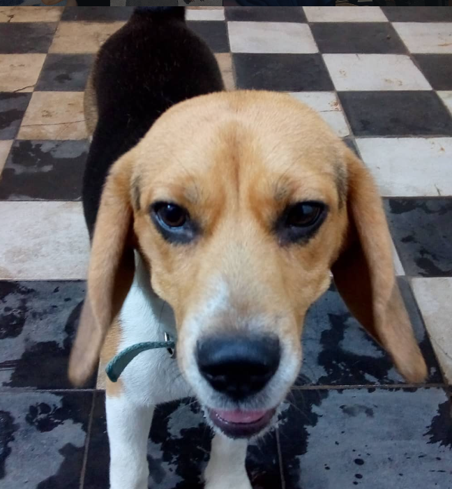 Captura 15:38:29