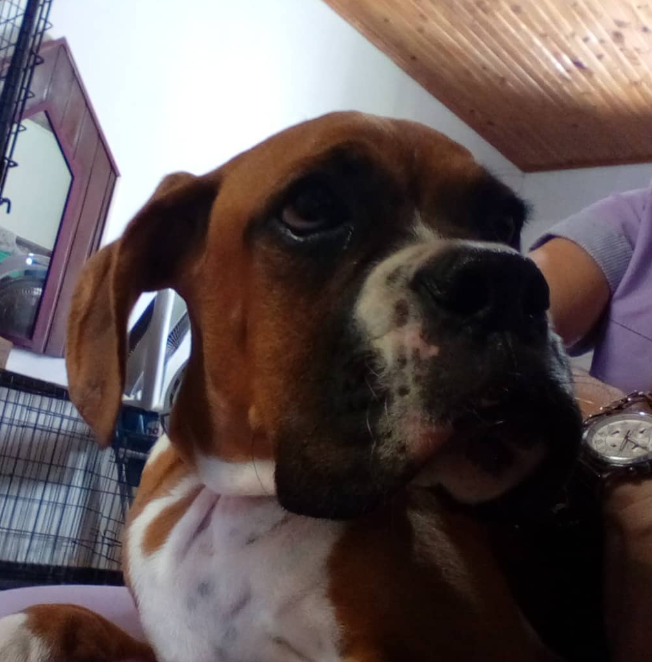 Captura 15:38:02