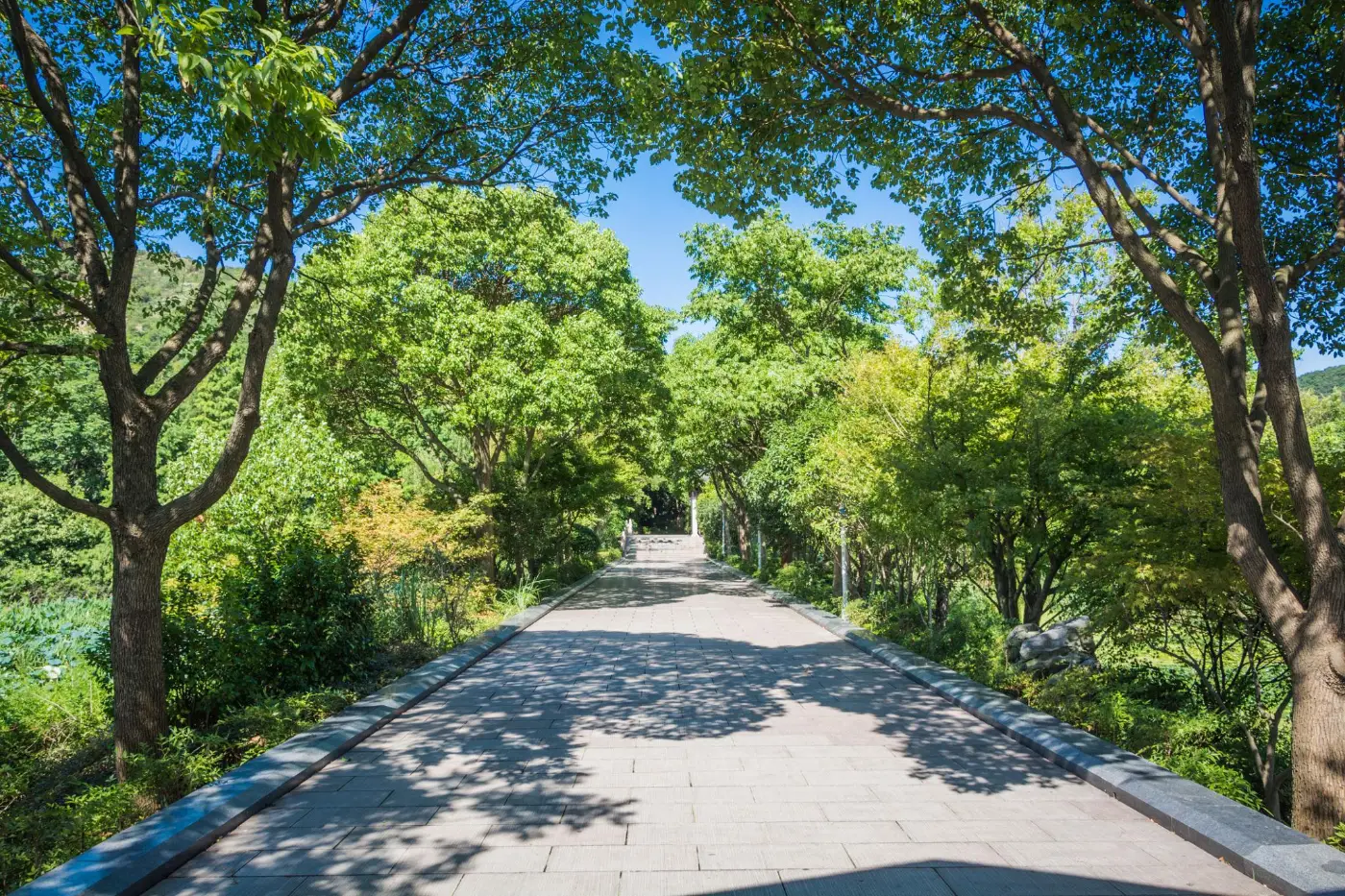 Landscaping websites