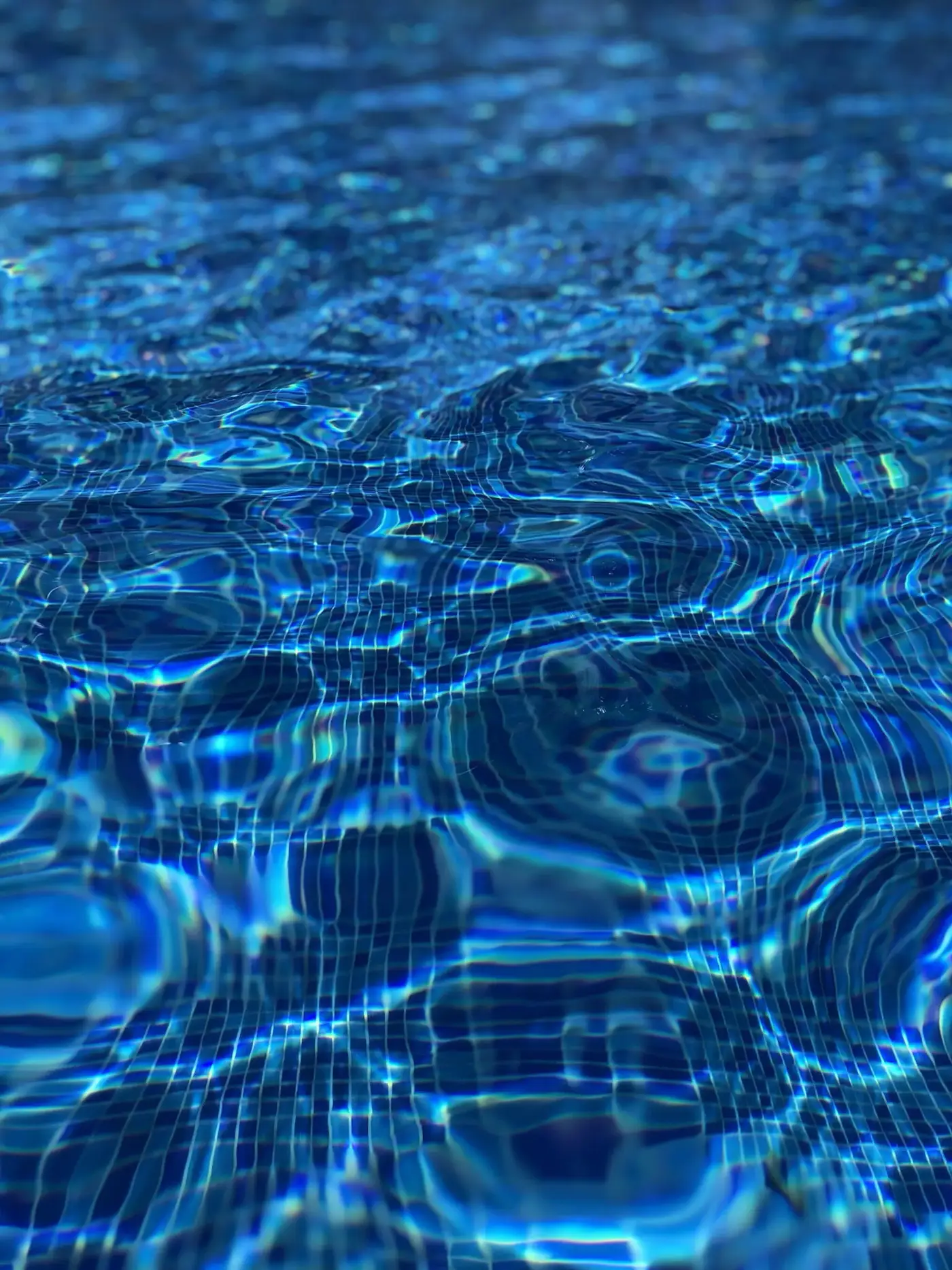 Pool Service websites