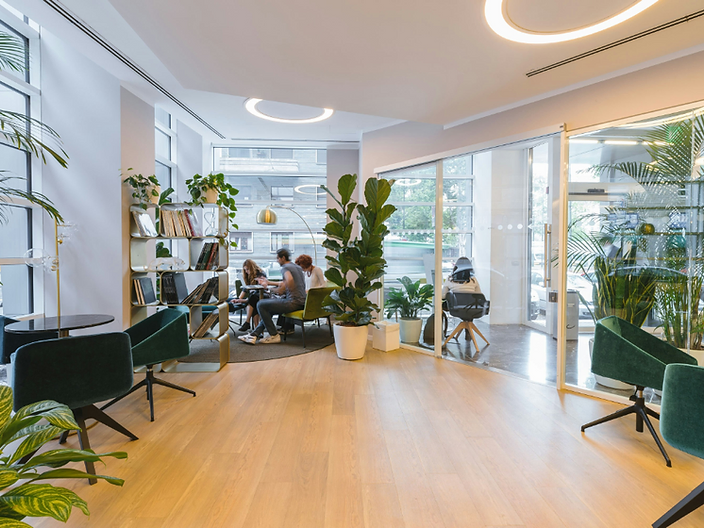 A calm, open office lounge with greenery and soft natural light