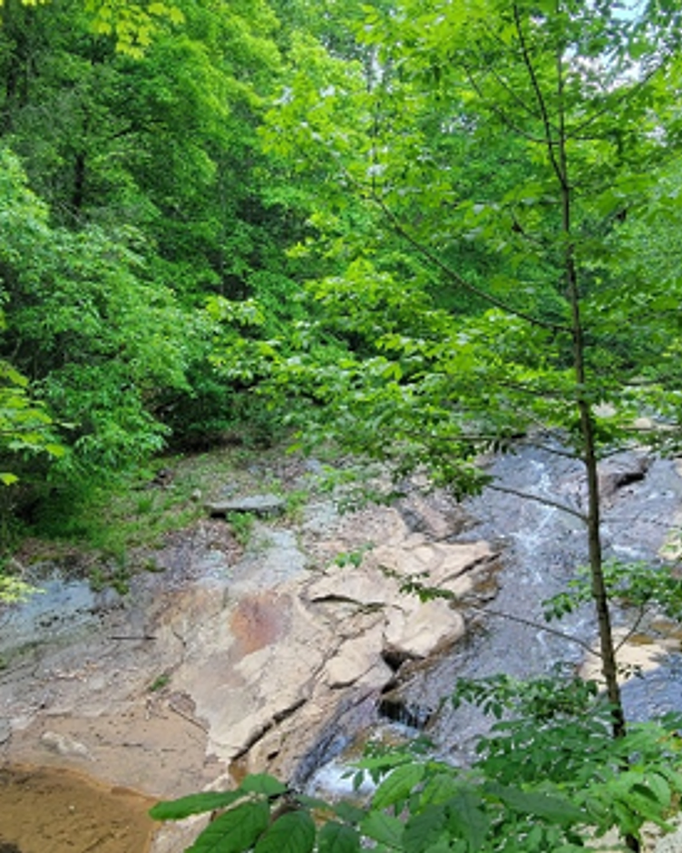 Camp Baer healing campus nestled in West Virginia forest