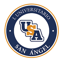 USA Puebla logo