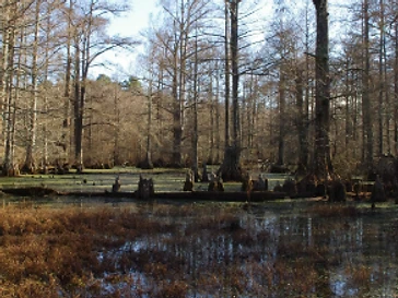 Little River National Wildlife Refuge in Broken Bow, Oklahoma