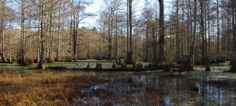 Little River National Wildlife Refuge in Broken Bow, Oklahoma