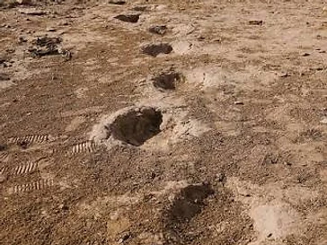 Black Mesa Dinosaur Trackway in Kenton, Oklahoma